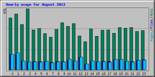 Hourly usage for August 2013